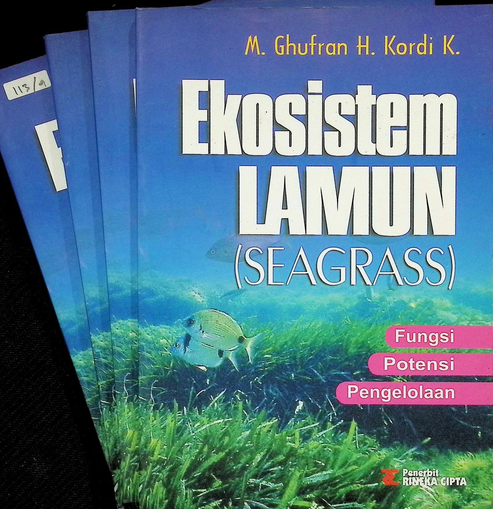 Cover EKOSISTEM LAMUN (SEAGRASS) :  FUNGSI, POTENSI, DAN PENGELOLAAN / GHUFRON H. KORDI