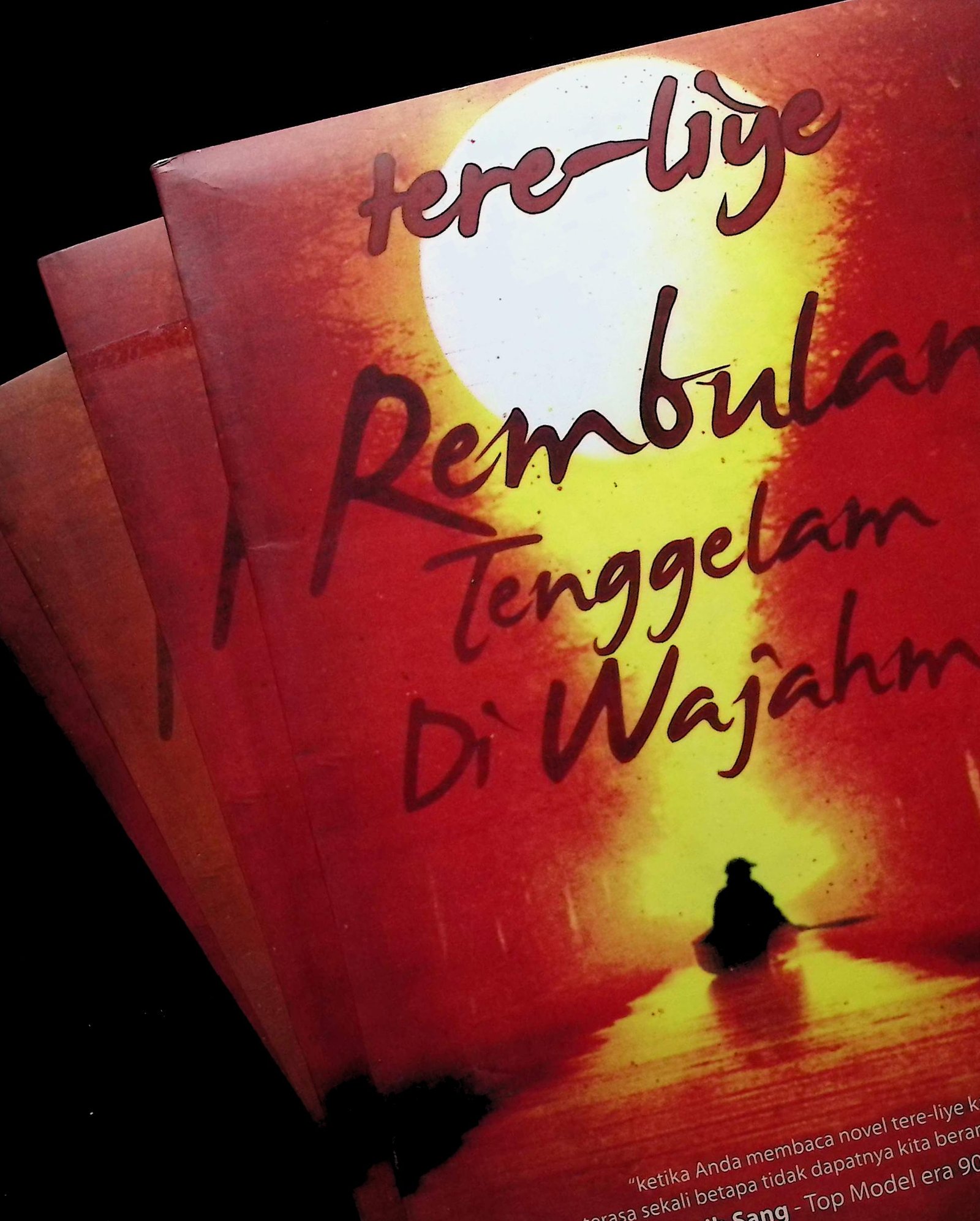 Cover REMBULAN TENGGELAM DI WAJAHMU / TERE LIYE