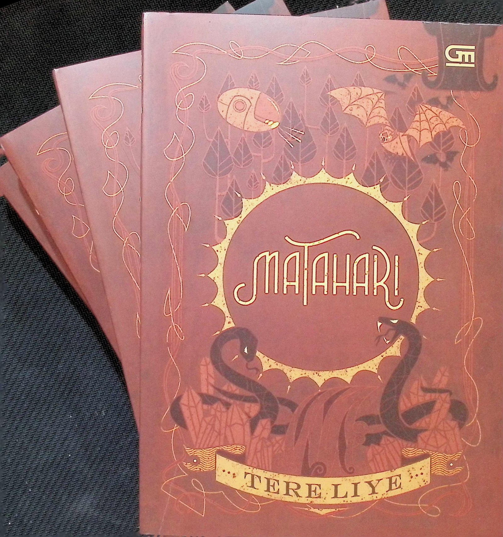 Cover Matahari / Tere liye